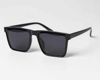 Wayfarer - Light - Polarized