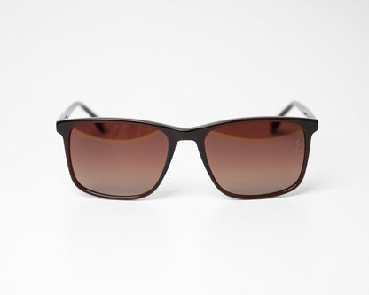 Voyage Wayfarer Ace 11 Polarized