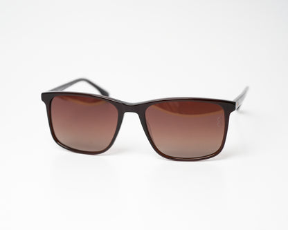 Voyage Wayfarer Ace 11 Polarized