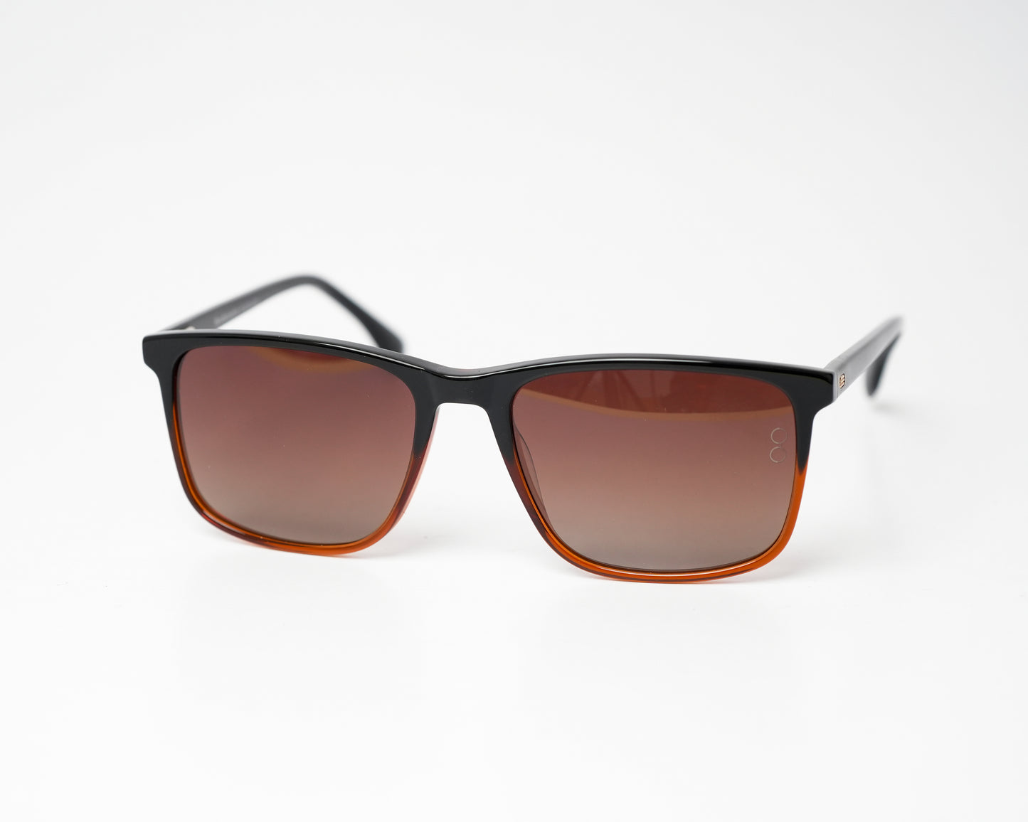 Voyage Wayfarer Ace 11 Polarized