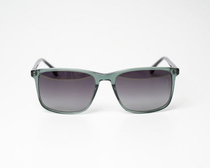 Voyage Wayfarer Ace 11 Polarized