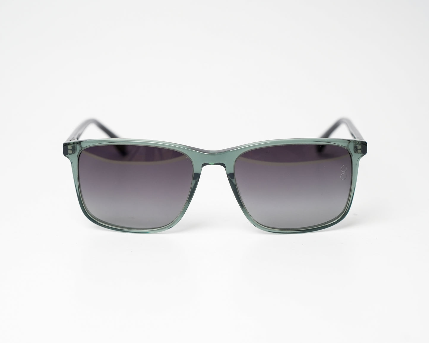 Voyage Wayfarer Ace 11 Polarized