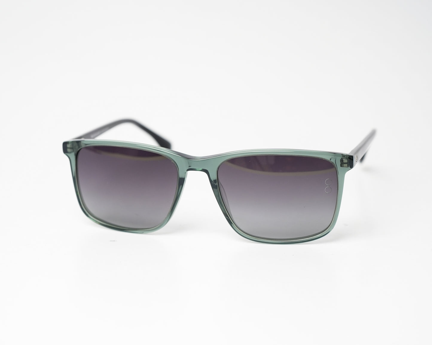 Voyage Wayfarer Ace 11 Polarized