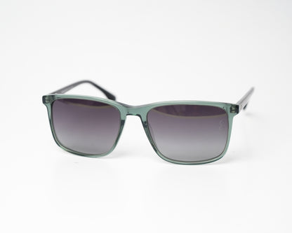 Voyage Wayfarer Ace 11 Polarized