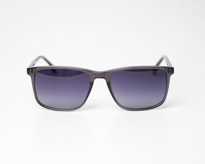 Voyage Wayfarer Ace 11 Polarized