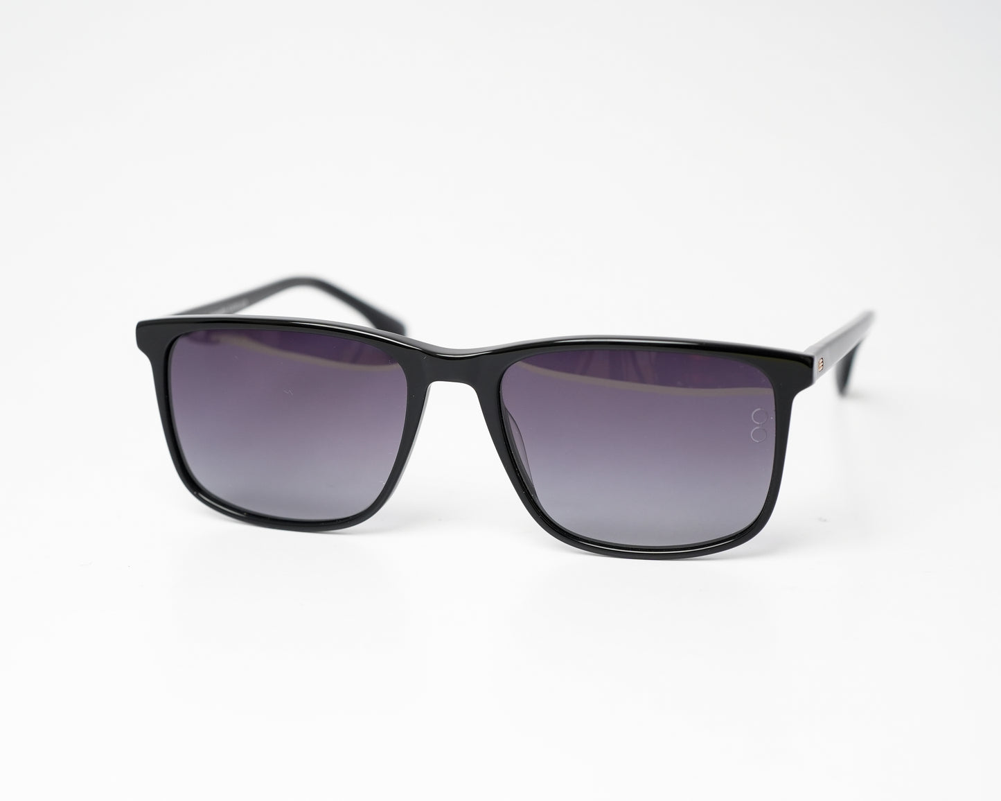 Voyage Wayfarer Ace 11 Polarized