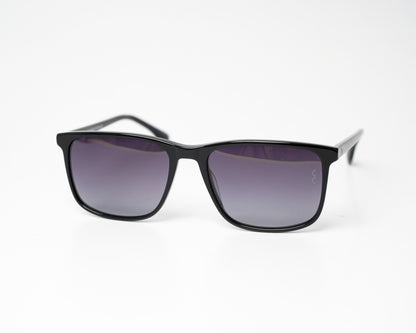 Voyage Wayfarer Ace 11 Polarized