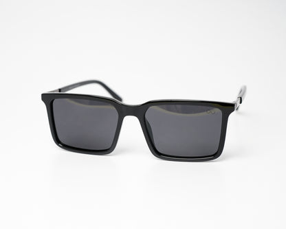 The Wayfarer Polarized