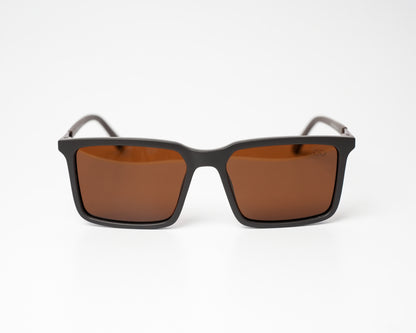 The Wayfarer Polarized