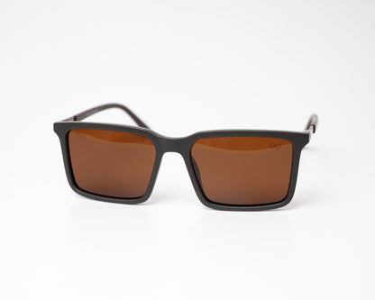 The Wayfarer Polarized