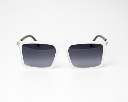 The Wayfarer Polarized