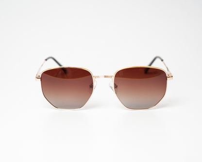 The Hexagon Polarized