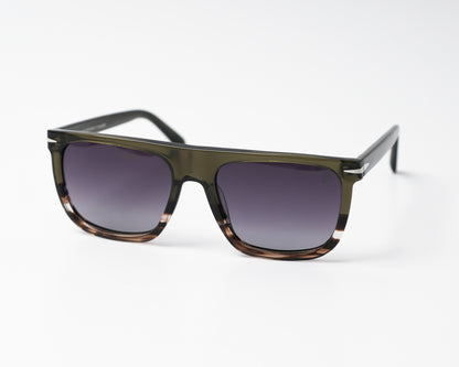 DB Polarized Wayfarer